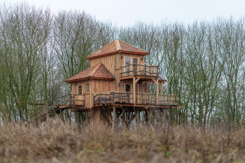 Ein luxuriöses Baumhaus in der Natur von Drenthe.