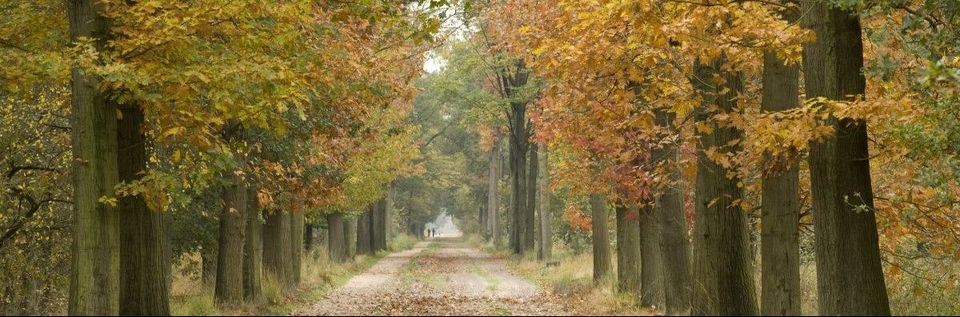 Kerkepad wandeling van IVN Best