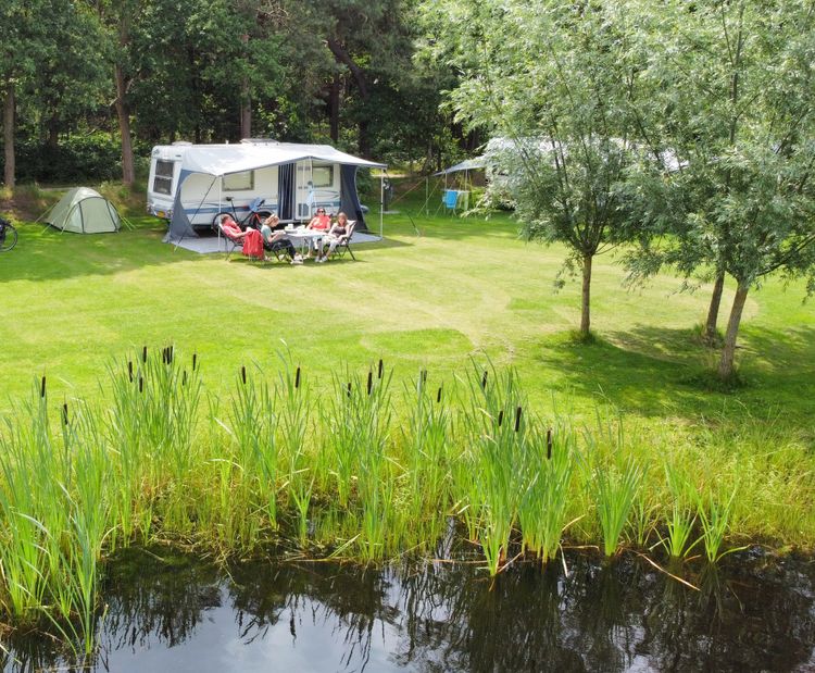 Kampeerplaats van De Gerrithoeve met op de voorgrond een vijver en op de achtergrond caravans op en groen veld met bomen.