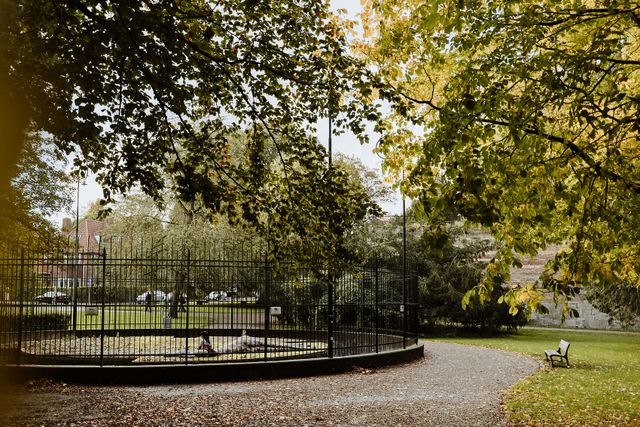 stadspark Maastricht berenkuil hek