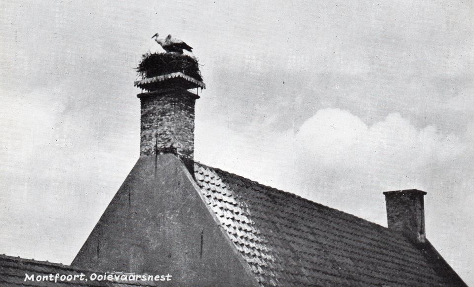 Zwart-wit beeld van historisch ooievaarsnest op schoorsteen aan de Hoogstraat 6 in Montfoort, Groene Hart