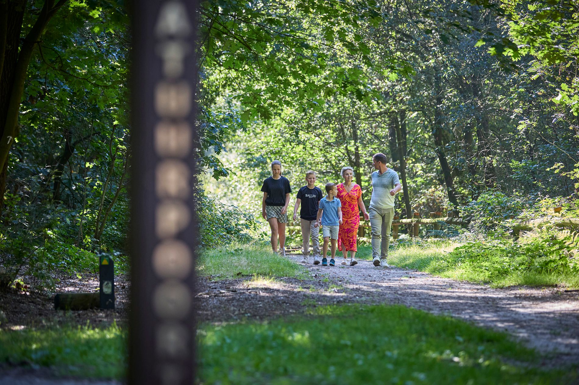 Gezin wandelt door het bos