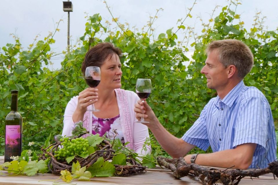 Proosten bij Wijngaard Telgt