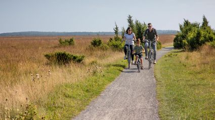 gezin fietsen nationaal park dwingelderveld