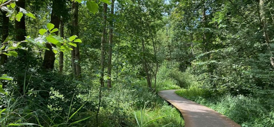 Rolstoeltoegankelijk pad Oostbroek
