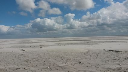 Wad bij Noordpolderzijl