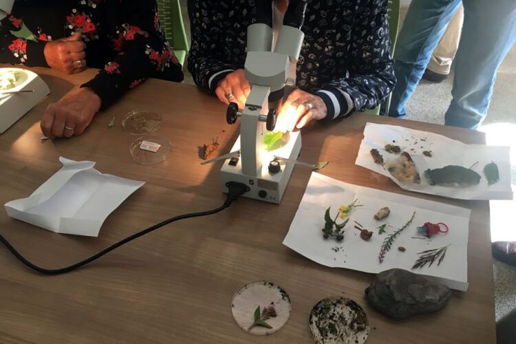 Onderzoek met microscoop naar de 1000 soorten