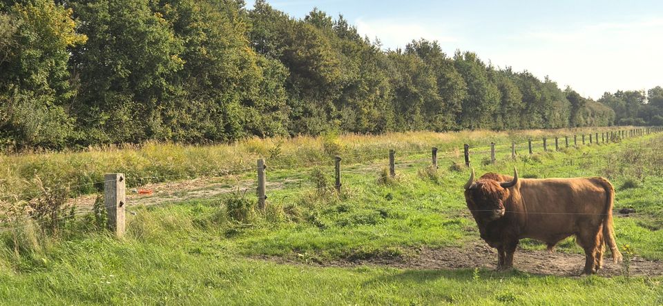 Langs de zuidoever van het Lauwersmeer