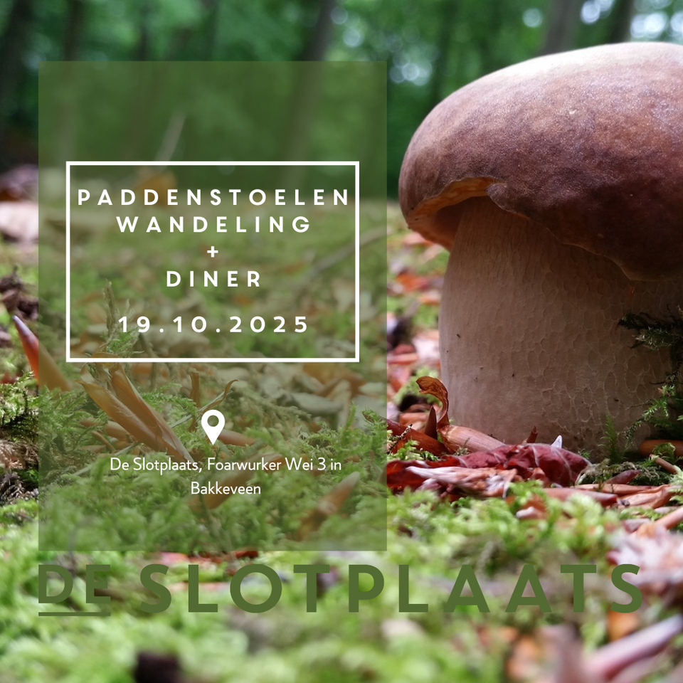 Paddenstoel in het gras