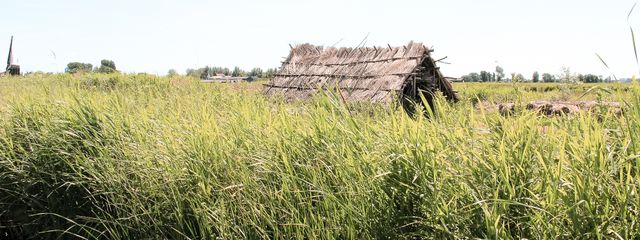 Verhalentocht in Ilperveld Laag Holland