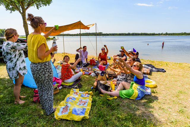 proosten, samen, gezelligheid, barbecue, zwemmen