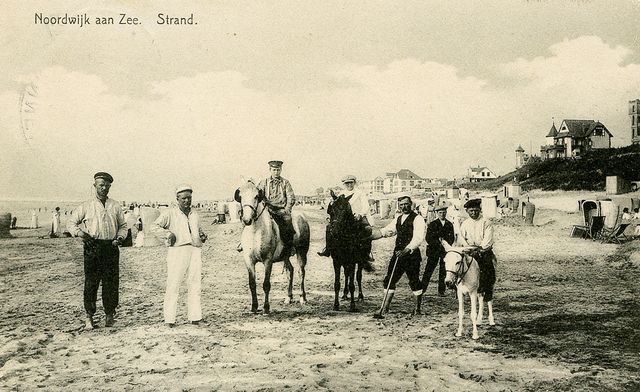 Strand en paarden