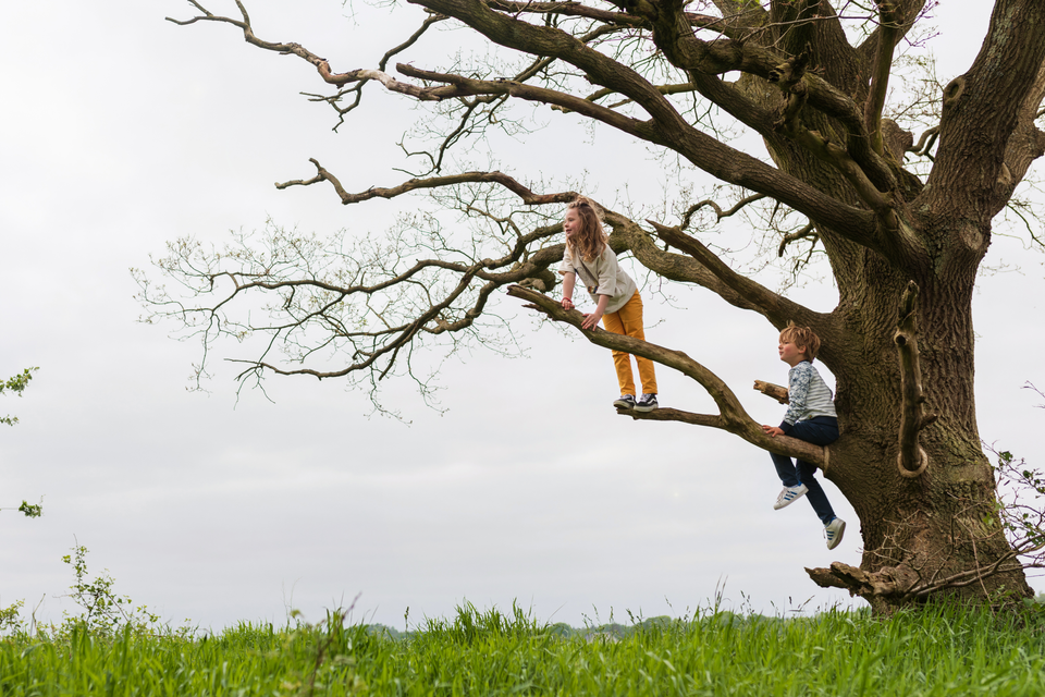 Spielen im Wald.