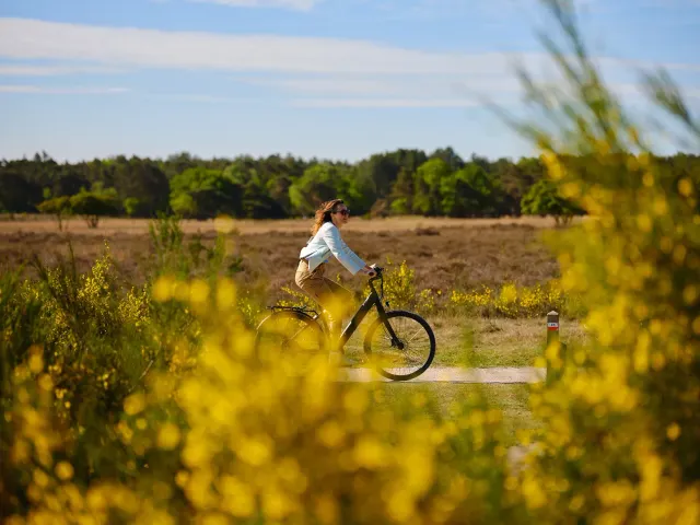 Fietsen door bloeiende bloemen in Gooi & Vecht