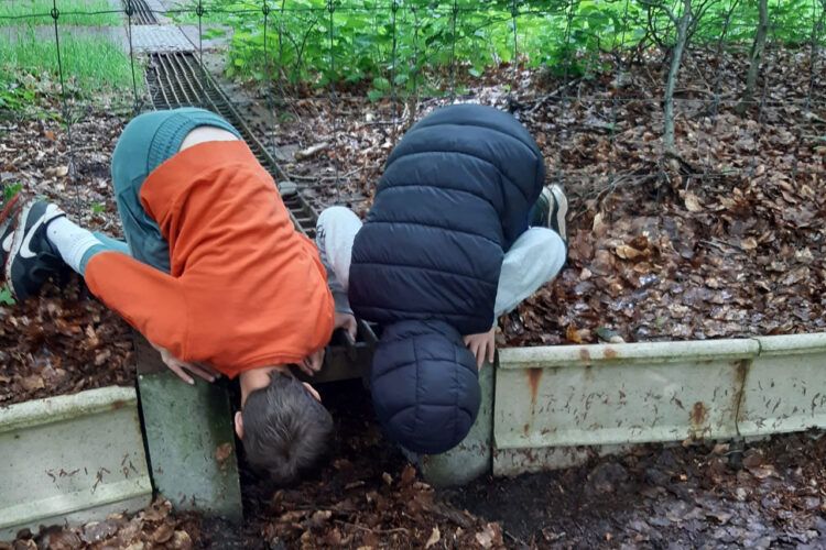 kinderen kijken in buis voor paddentrek