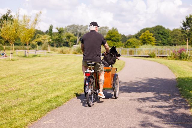 Groene Ster, recreatie, zomer