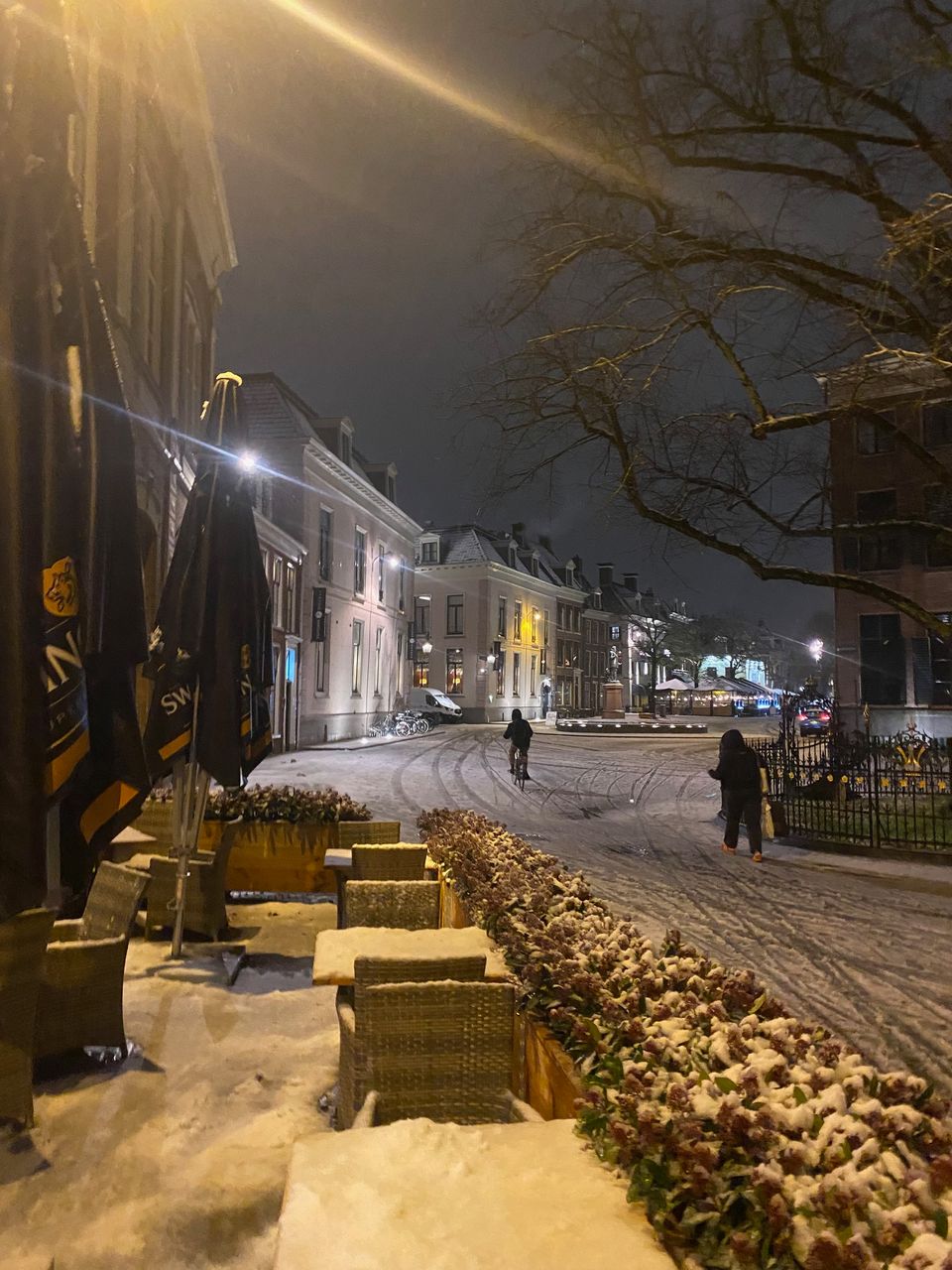 Winterwandeling bij het Hofplein