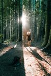 Meditatie natuur yoga mindfullness