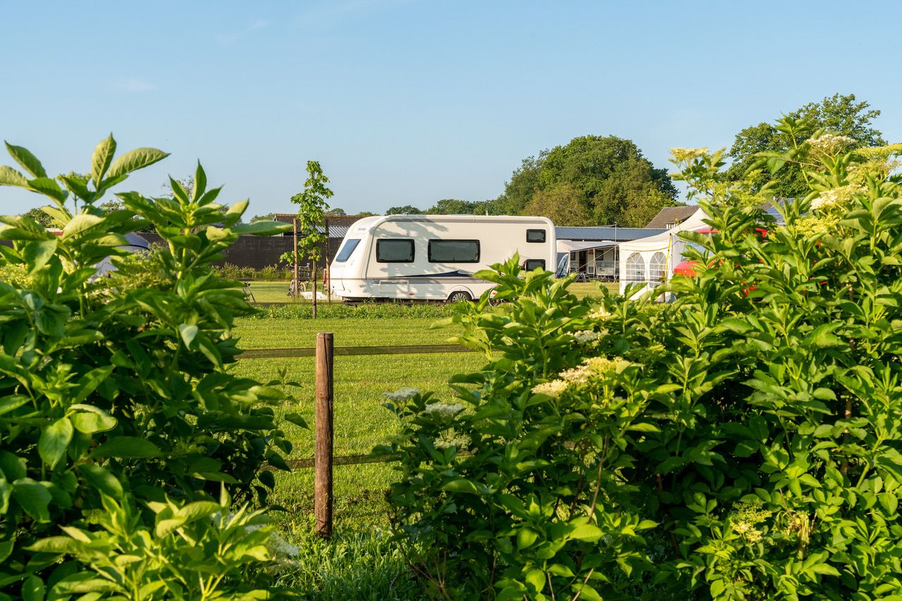 Zonnig doorkijkje tussen struiken naar een kampeerplek met een caravan.
