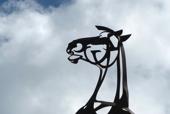 Bucephalus | OP Voorne-Putten