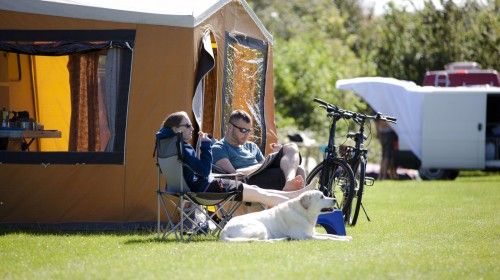 car parking tent REIBII Heavy Duty Carport, 20x20 ft Portable Garage Carport, All Weather Portable Garage Shelter, Removable Sidewalls, Outdoor Storage & Party Michelin Fahrradreifen, MTB-Reifen E-Wild Flyers shielding your car from Größe:5x80 g
