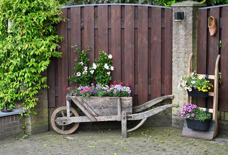 kruiwagen met bloeiende planten