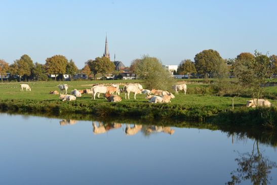 Markdal | VisitBrabant