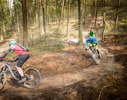 Mountainbikeroutes op de Heuvelrug.