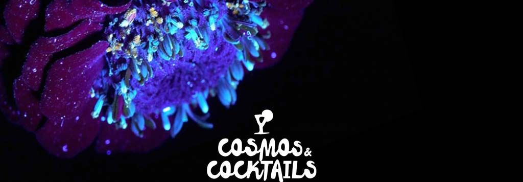 Sonnenborgh presents: Cosmos & Cocktails