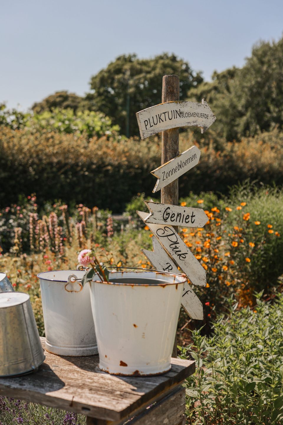 Binnen de Pluktuin Bloemenliefde in Ouddorp