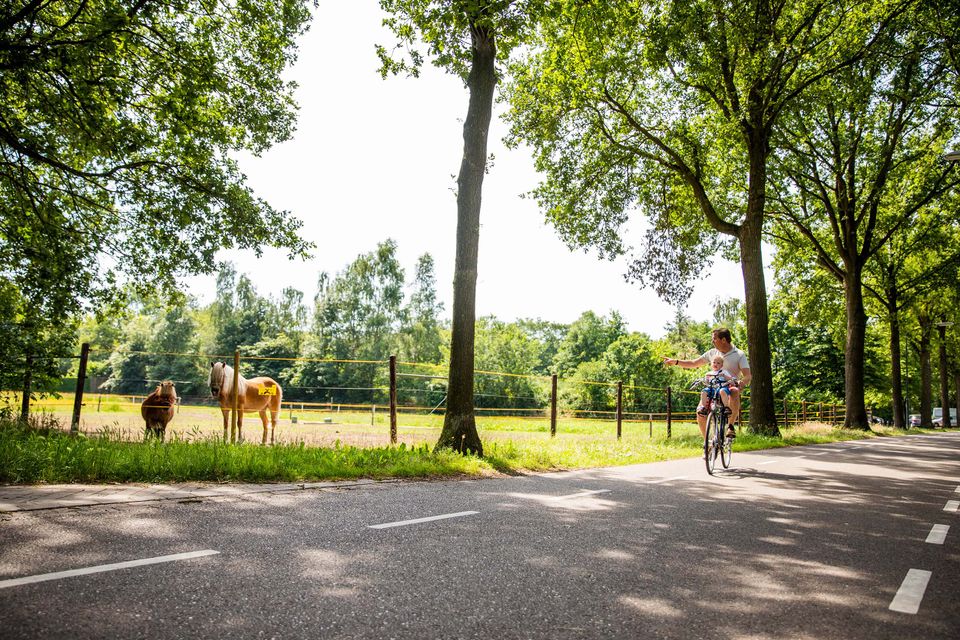 Résidence de Leuvert - Fietsverhuur