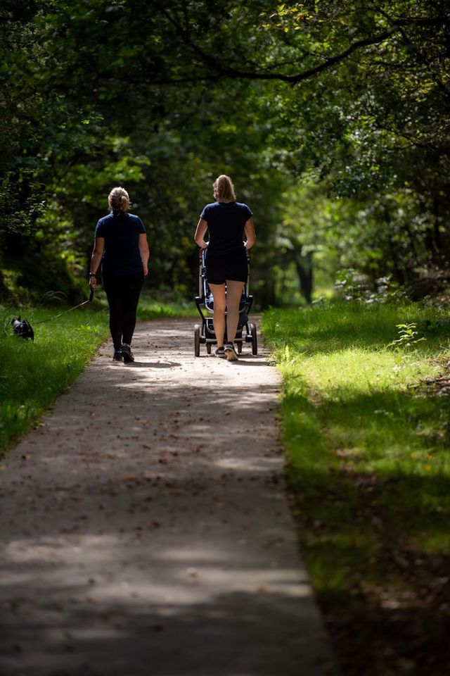 Eine Frau schiebt einen Kinderwagen über einen befestigten Weg im Wald. Daneben geht eine weitere Frau mit ihrem Hund an der Leine.