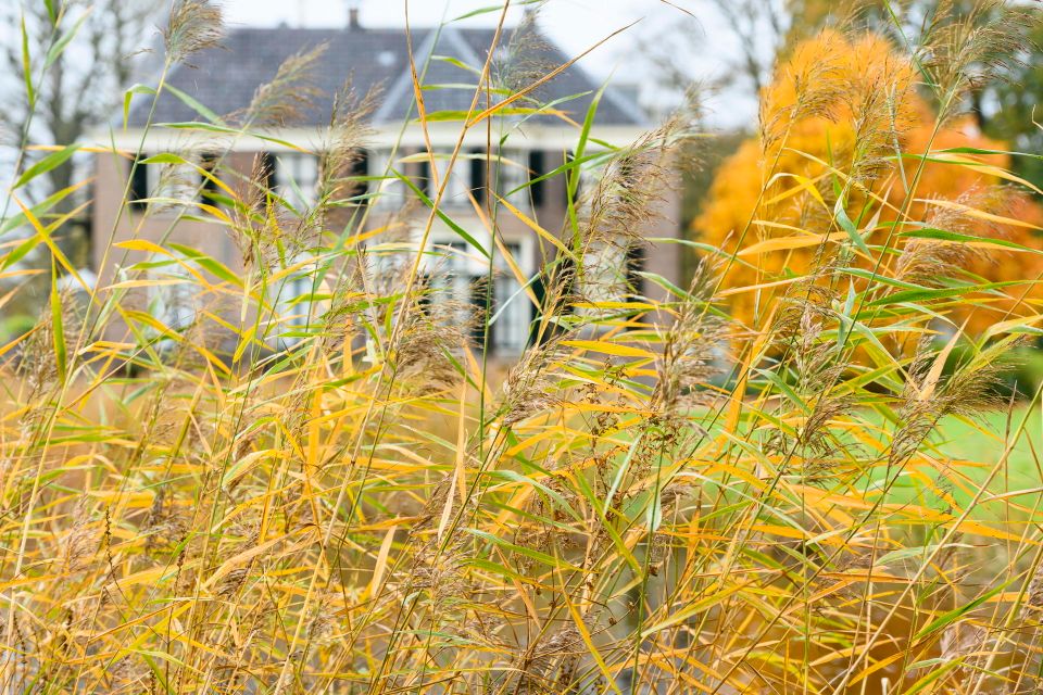 Buitenplaats Boekesteyn in 's-Graveland in herfst