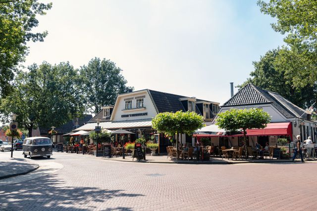 Diever