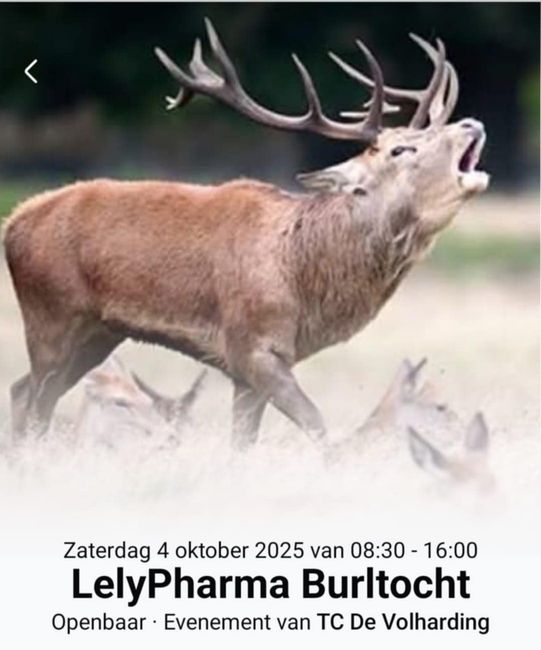 Affiche LP-B 4-10-2025