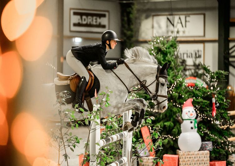 XMAS - Springruiter met schimmel