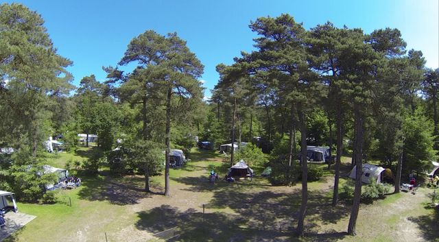 Camping Diever, Boomhut XXL