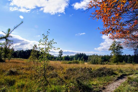 Eext landgoed Terborgh