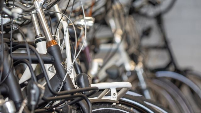 Bicycle rental service Van de Berg