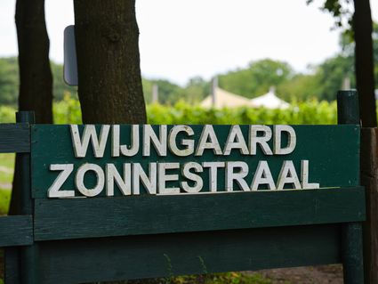 wijngaard Zonnestraal