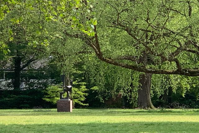 Tuinpad Park - Boom met beeld