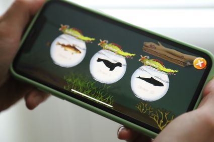 Foto van een iPhone met daarop het spel Watten Games geopend