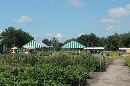 Planten en bloemen bij de Groene Long