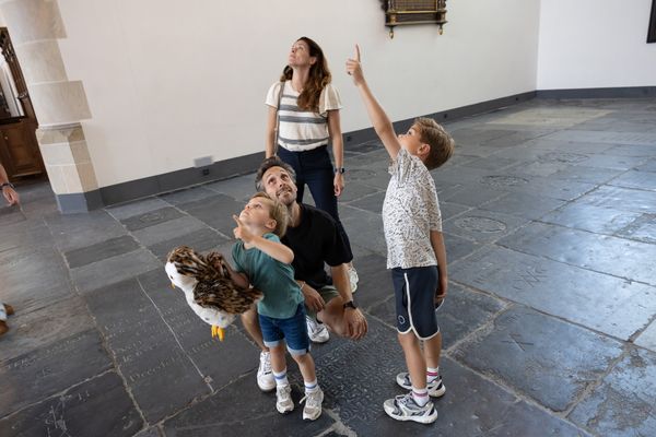 Tyto de Kerkuil in Grote Kerk Naarden