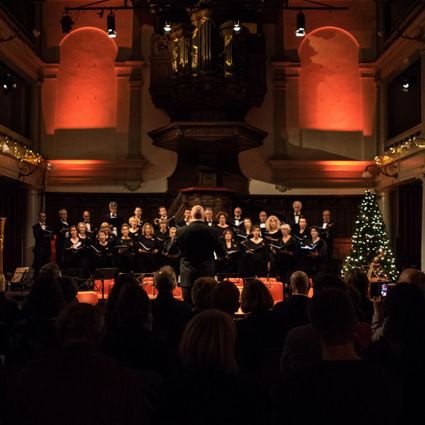 The Carol Company