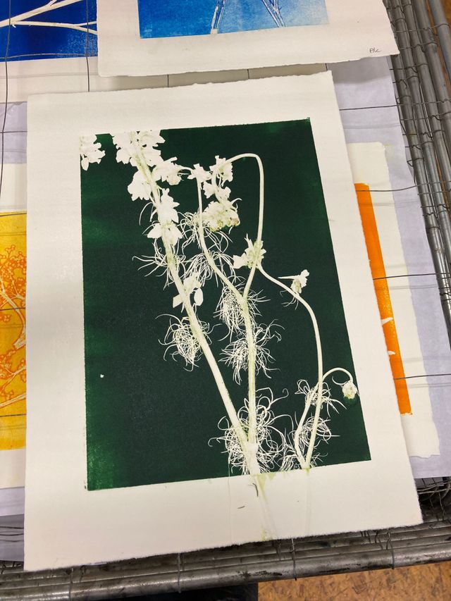 Voorbeeld van een natuurdruk print met donkergroene achtergrond en een uitgespaarde plant die bestaat uit lange dunne blaadjes en kleine bloemen.