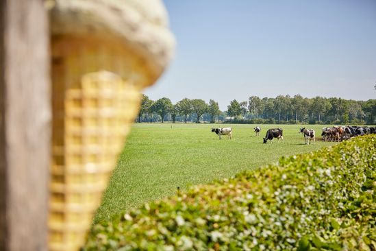 IJsboerderij Fabor | VisitBrabant