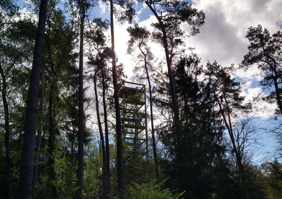 Uitkijktoren Boswachterij Odoorn Poolshoogte Drenthe