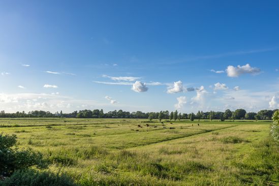 Munnikendijk