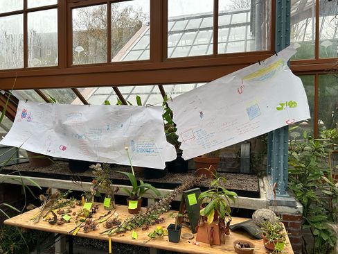 Straatgedichtentour mét workshop ( 8+)